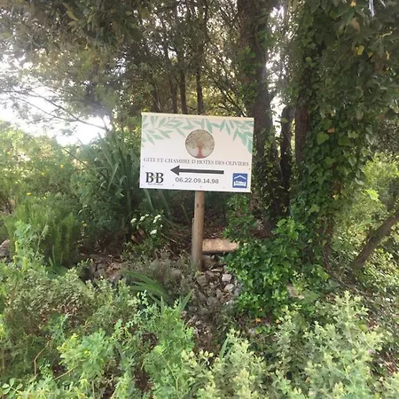 D'hotes Des Oliviers Pensión La Roque-sur-Cèze